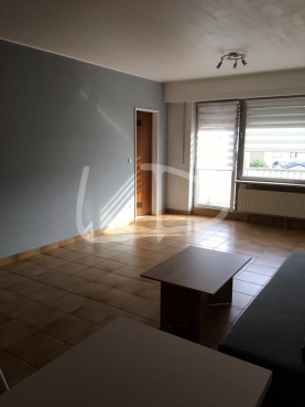 WhatsApp Image 2021-10-13 at 08.43.51 (1).jpeg